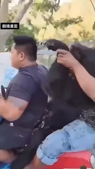 黑熊被獵殺後被如同載屍遊街影像。取自記者爆料網