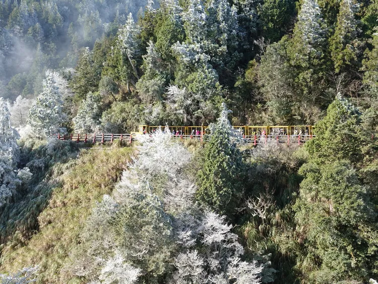 太平山蹦蹦車。資料照片