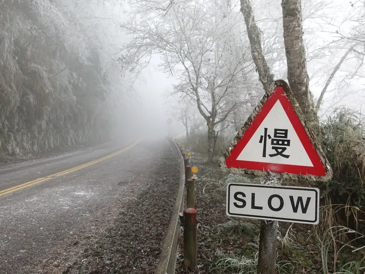 太平山國家森林遊樂區內「宜專一線」及「翠峰景觀道路」等2條道路，每逢寒流來襲，路面就可能結冰。資料照片