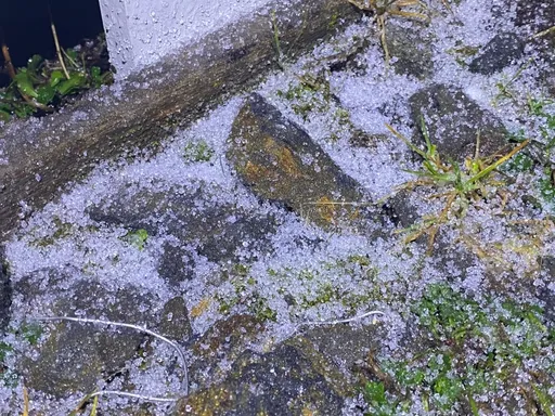 寒流發威！玉山下起15分鐘冰霰　氣象局：入夜不排除有機會降雪