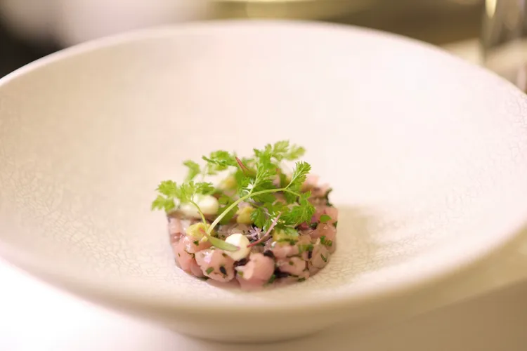 鯨落－永續魚類。陳志淵攝