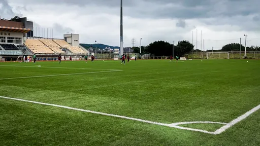 6年花43億拚足球進百強!卻逐年後退到157名 體育署自評分很慘