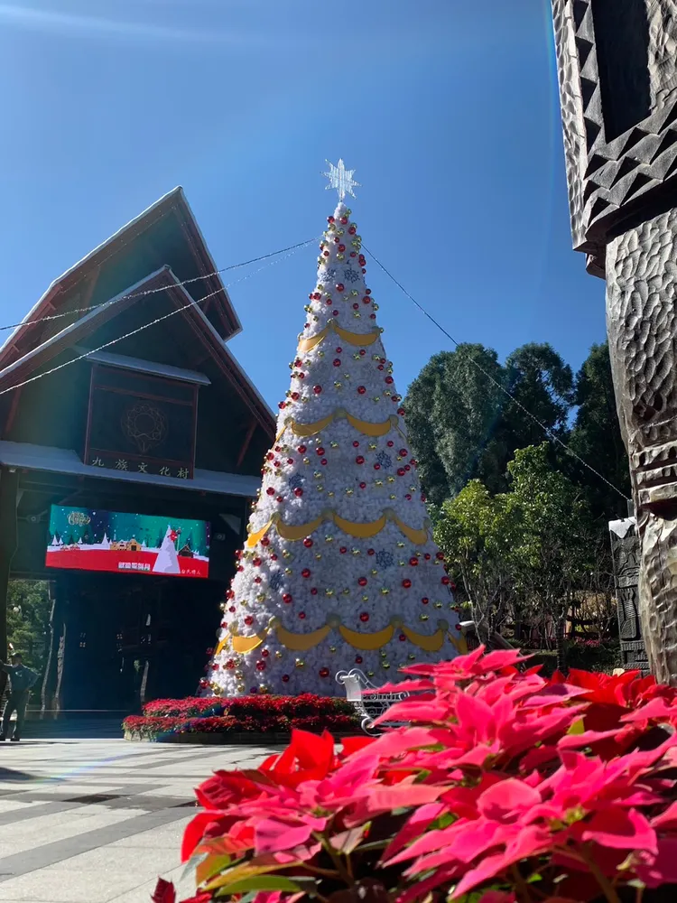園區還打造12公尺高的聖誕樹。九族文化村提供