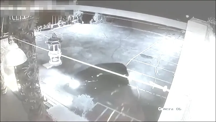 凌姓兄弟開車到三峽李山神宮偷取香油錢。警方提供