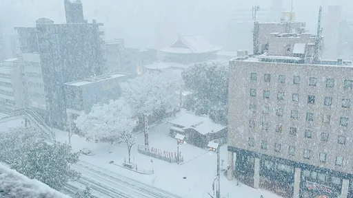 日本暴雪肆虐擾亂交通 新幹線誤點影響逾13萬人、66航班取消