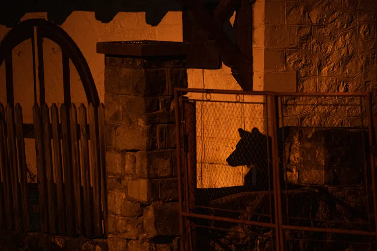 ©David Hup and Michiel van Noppen／NPOTY 2022