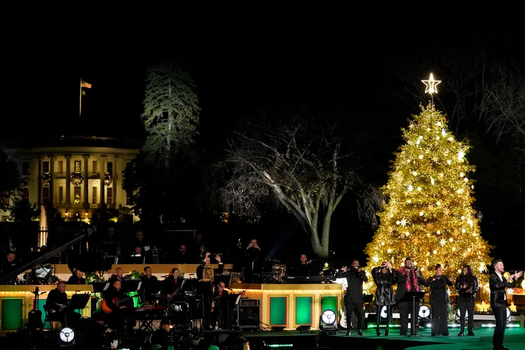美國國家聖誕樹就在白宮圍籬外。美聯社