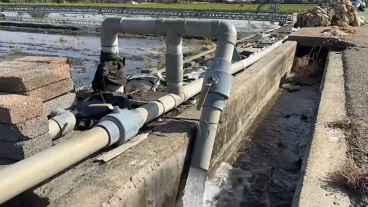 苗農提早抽水為秧苗補充水份並防低溫寒害。魏嘉良攝