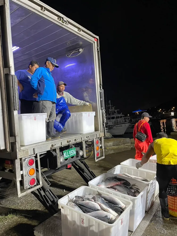 先頭烏報到。民眾提供