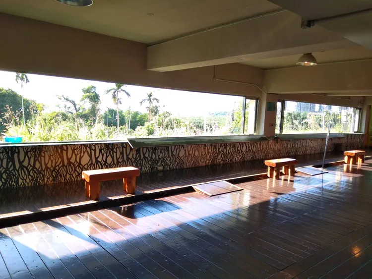 紅樹林生態教育館室內景觀窗。羅東林管處提供
