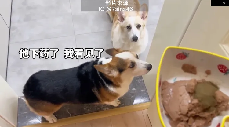 老婆都敢吃，就一起吃唄！免驚啦。IG @7sins46 提供
