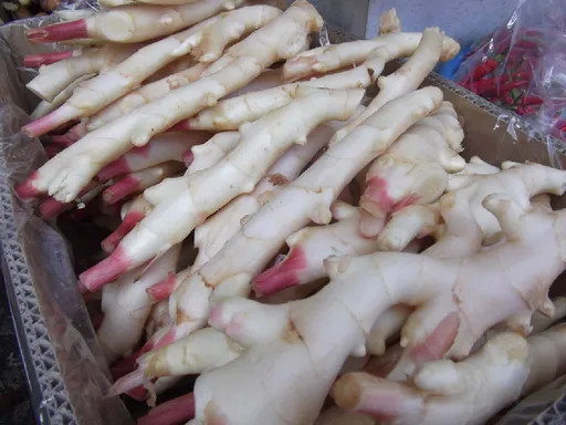 馬鈴薯發芽不能吃！薑、蒜比照辦理？　專家揭曉正確答案