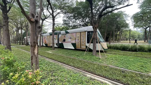 輕軌魔咒!大媽擋道拍網美照 遭列車「kiss」摔跌草地