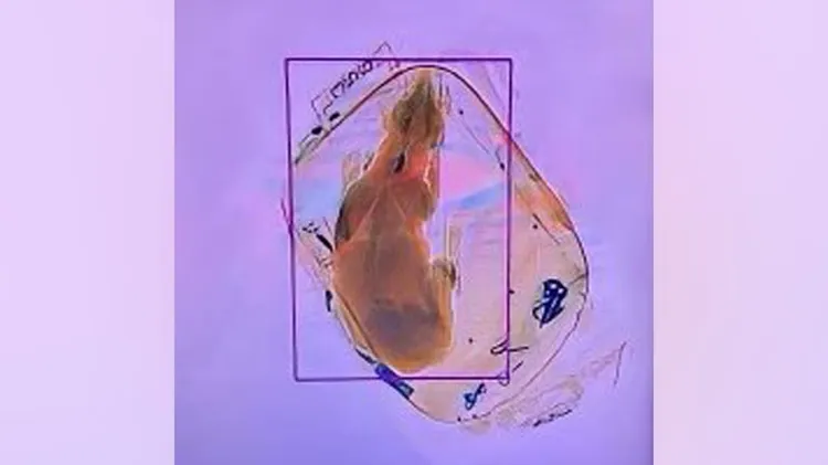 安檢官員發現有旅客把活生生的狗放進背包送入X光儀器。翻攝運輸安全管理局推特