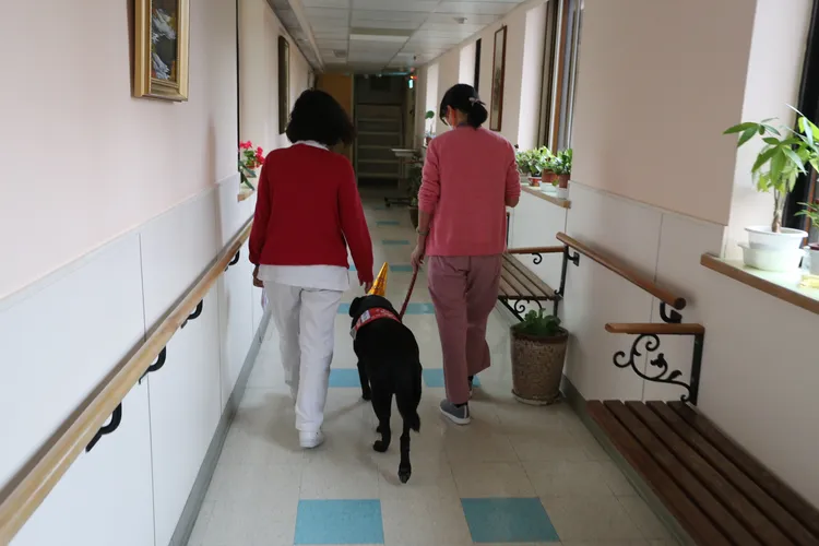 歐爸與護理長一起巡房。門諾醫院提供