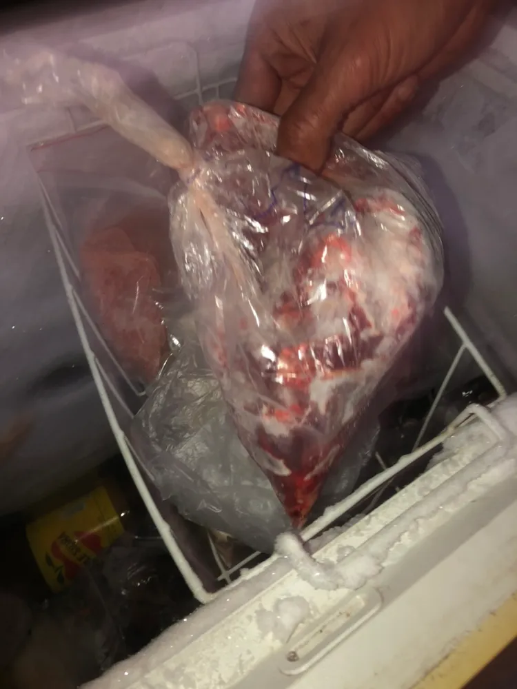 警方與動保團體蒐證時，也在冰箱發現可疑肉品以及魚肉、雜物等，更加質疑莊男從事宰殺、販賣香肉。議員朱健銘提供