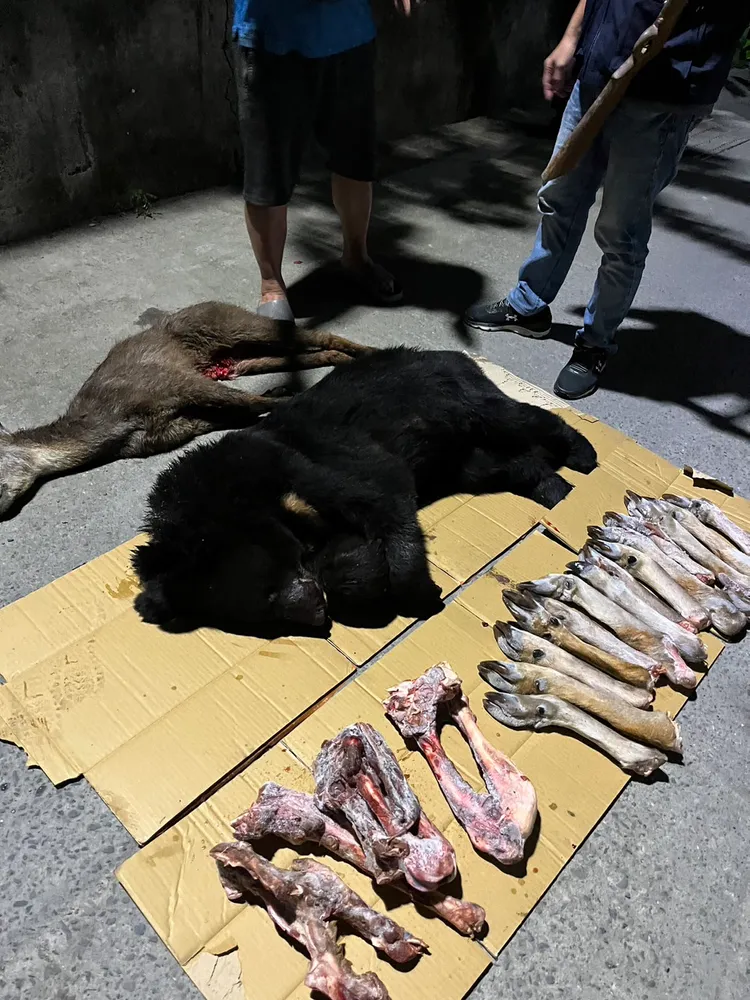 檢警查扣的獵物。屏檢提供