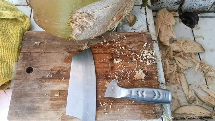 為了這顆椰子賠了夫人又折兵。翻攝爆廢公社