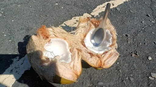 「好貴的椰子!」他慘痛經歷勸世 花200元買一買比較快