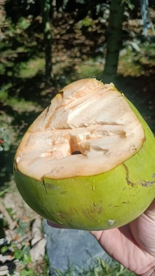 不少貼心的網友也是提供了別的方法。翻攝爆廢公社