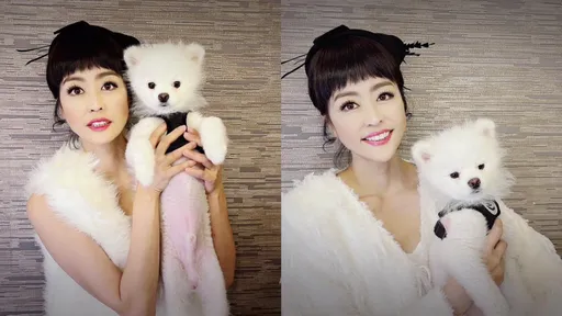 唐玲见爱犬结扎眼神死仿佛当初自己 庆幸「解除生儿育女的枷锁」