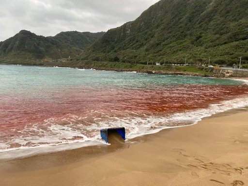 基隆大武崙海水驚染紅! 竟是海大研究生為這件事闖禍
