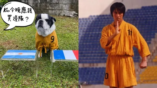 周星馳抱狗腿預測世界盃冠軍 「堅決奮不顧身All in」