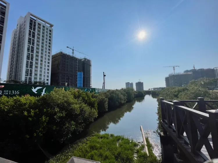 南部很多重劃區大量推出預售案，面積非常大，供給量也很大，實際上是很多投資客在買房。資料照