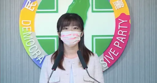 國民黨狂轟「黑道治國」　旅美台胞警告：台灣民主正在中南美洲化