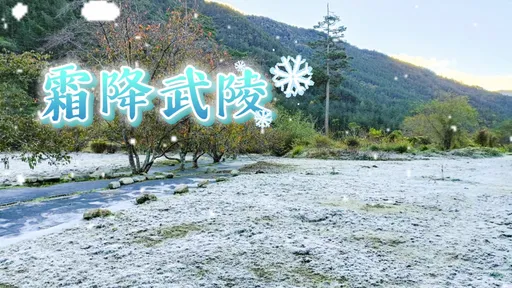 武陵農場北谷一夜變身銀白世界！南谷望溪亭仙氣飄飄