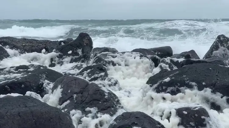 海浪強力拍打礁岩或海水與海水互相衝擊拍打所形成Q彈的泡沫，在潮間帶上堆疊。許逸民攝