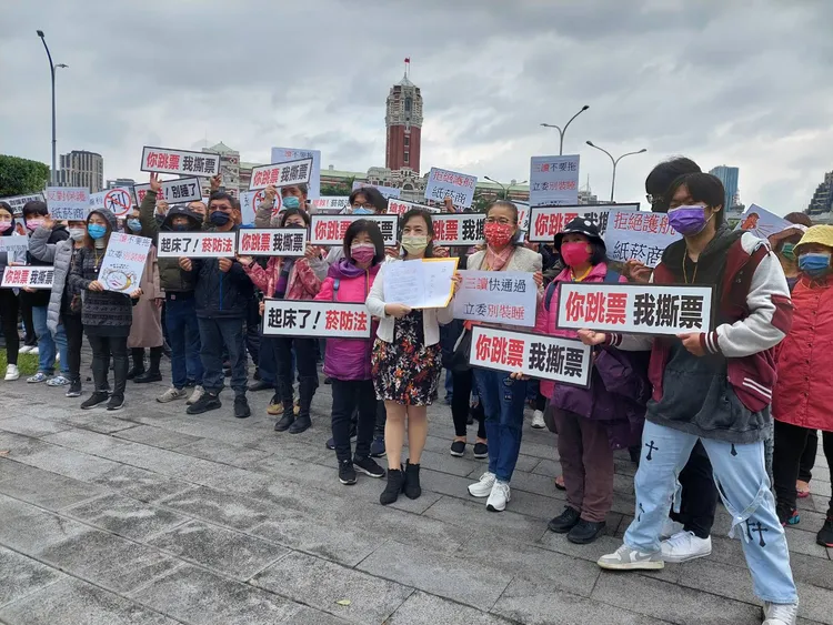 新北市家長志工教育成長協會理事長何若萍，今早帶領民眾在總統府前陳情。翻攝畫面