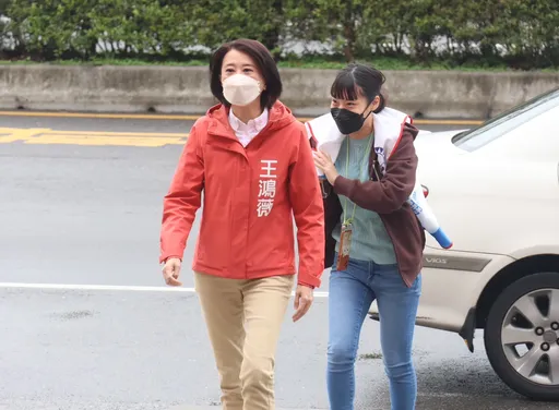 吳怡農認了綠營慘敗「初選機制崩壞」　王鴻薇狠酸：明明是小英制度受益人