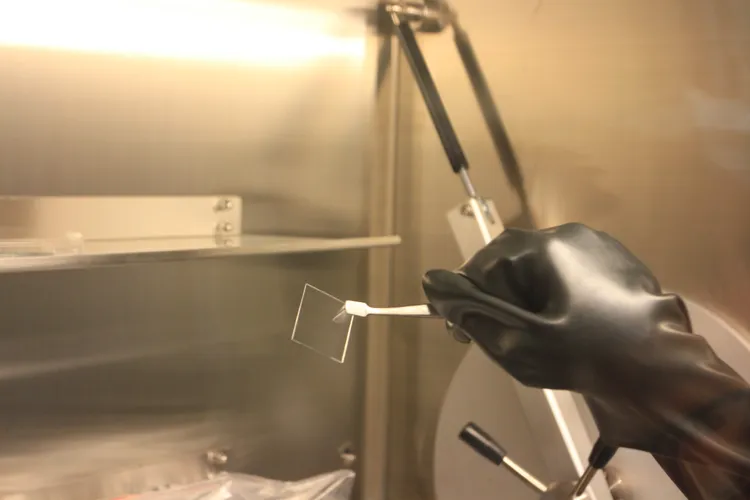 周卓煇指出，他在清大任教34年，從第一年開始，在實驗室、教室就不斷跟學生強調，實驗數據不能造假、論文不能抄襲。資料畫面