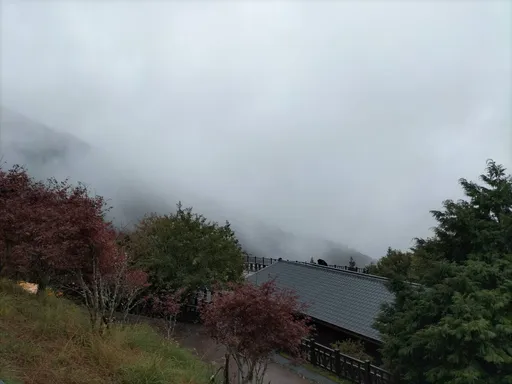 負離子改善健康「魔術數字」曝! 達到「這數量」可提高免疫力