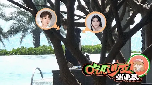 兩人在海邊散步。翻攝吃瓜少女張小寒微博