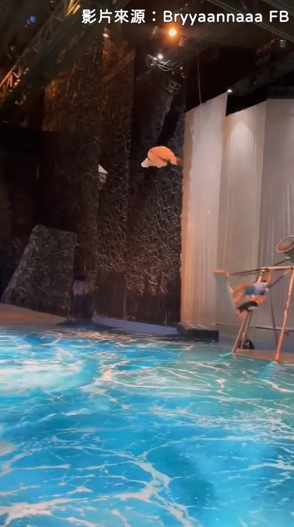 跳水不稀奇，還要耍特技才驚奇。FB@Bryyaannaaa 提供