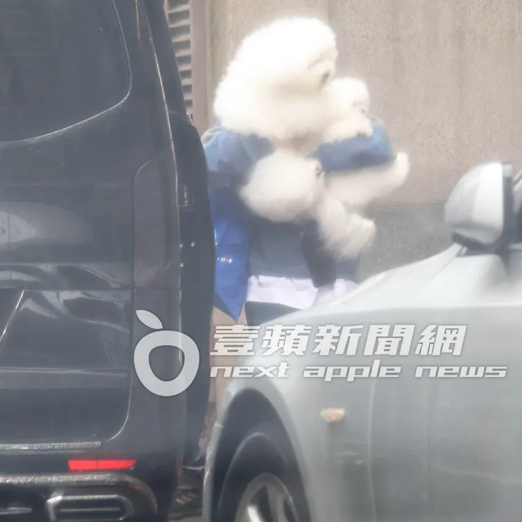 蔡依林助理走回保母車上，抱2隻愛犬下車。特勤中心攝
