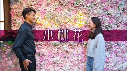 12生肖運勢｜狗好運連連虎牛兔羊愛情一觸可發　兩生肖仍孤單