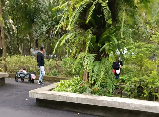制止刁民餵食動物園鬣狗!她反遭對方罵沒水準 網:向園方反映「猴子」跑出來了