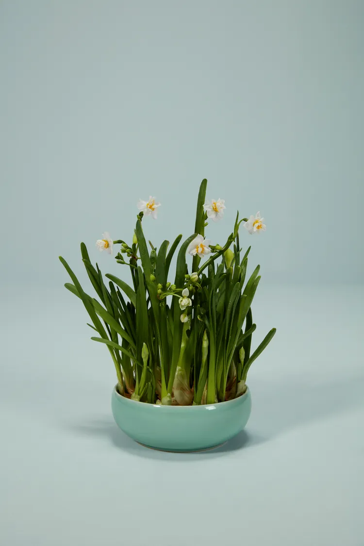 廣告中還拍攝了一系列「曾見證主角們某一時刻的有形之物」，企圖喚醒對新歲之時記憶的想像，哲學性十足，卻讓人難以理解。品牌提供