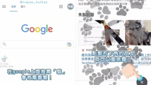 鏟屎官必看!Google藏超萌隱藏技能 樂趣忘卻老闆嘴臉