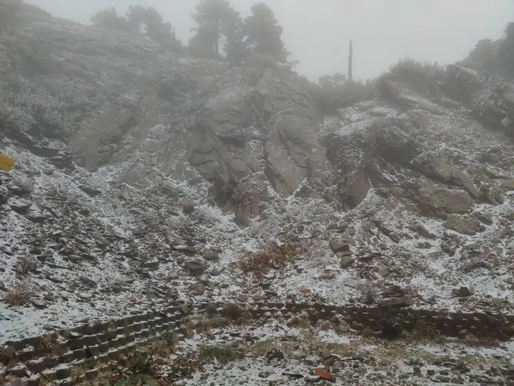 高雄郭先生帶著一家四口上合歡山追雪，成功拍下武嶺降雪的畫面。郭先生提供