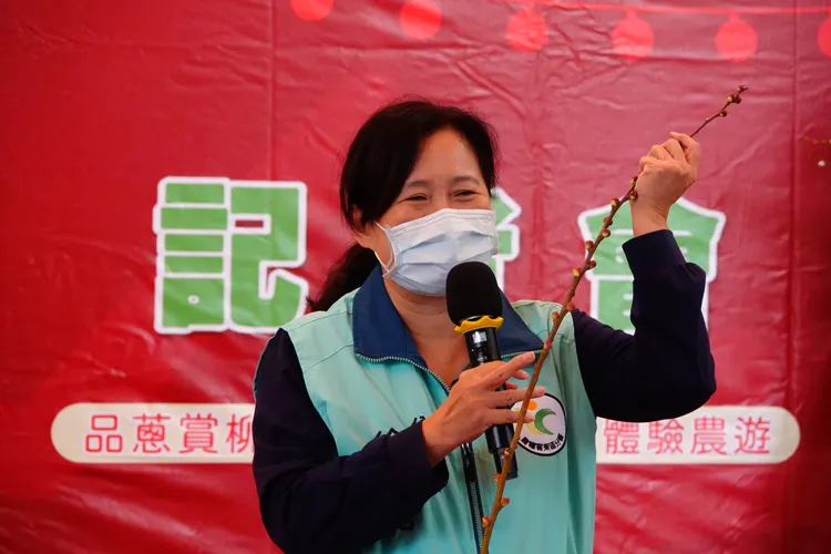 農糧署東區分署長徐煇妃指出，銀柳有銀兩寓意，是華人春節應景必備花材，更是年節外銷聖品。林泊志攝