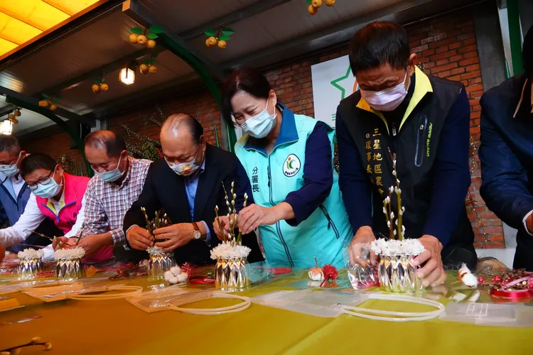 農糧署積極培育銀柳品種外，也推廣銀柳花藝。林泊志攝