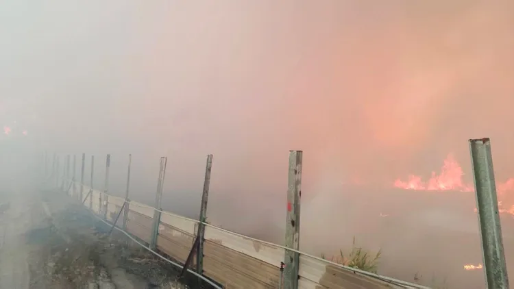 雲林警消派遣5部消防車前往灌救，鎮公所派調挖土機開挖，確認內部無悶燒情況。消防局提供