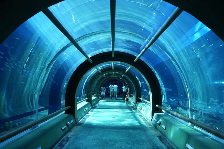 水族館內有相當適合適合拍照打卡。黃盈甄攝