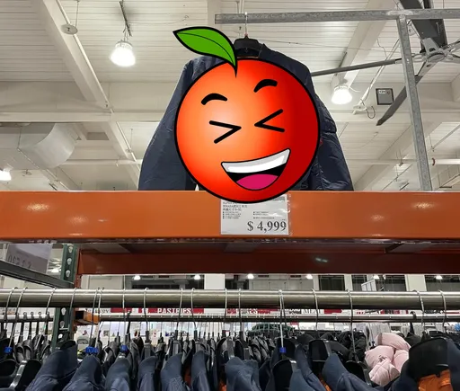 好市多NASA飛行夾克隔2年終現身 網笑:KMT外套?穿了像主席?