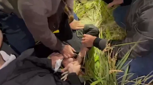 小黃搶車匪太囂張！　警從南投追到桃園還跳入田中扭打逮到人