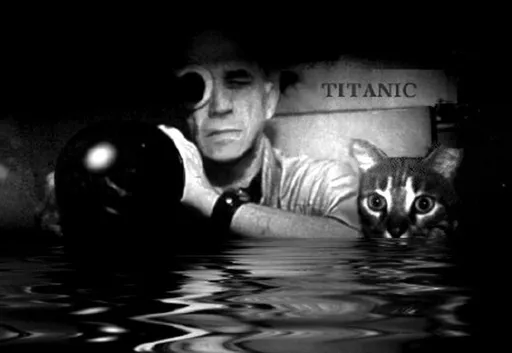 法國藝術家克里斯馬克回顧展開跑　黃色貓咪「M.Chat」超萌登場